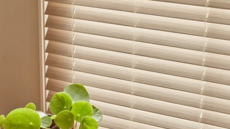 Window Solutions