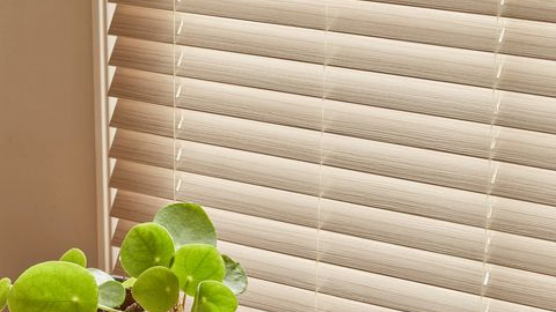 Innovative Smart Blinds