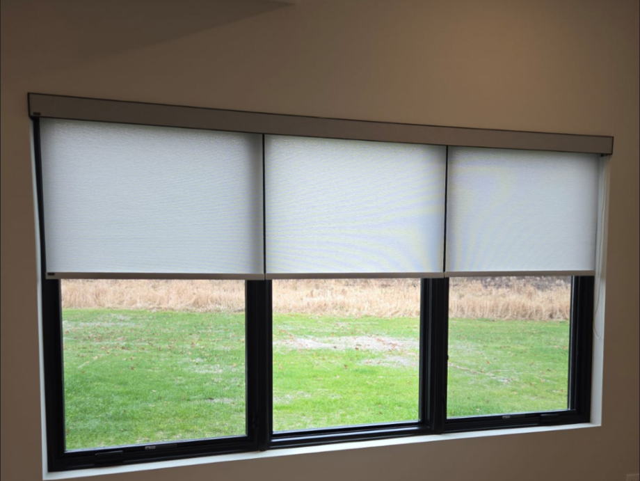 roller shades for windows