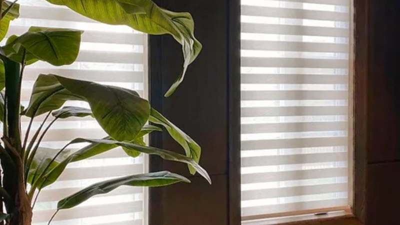 Smart Blinds