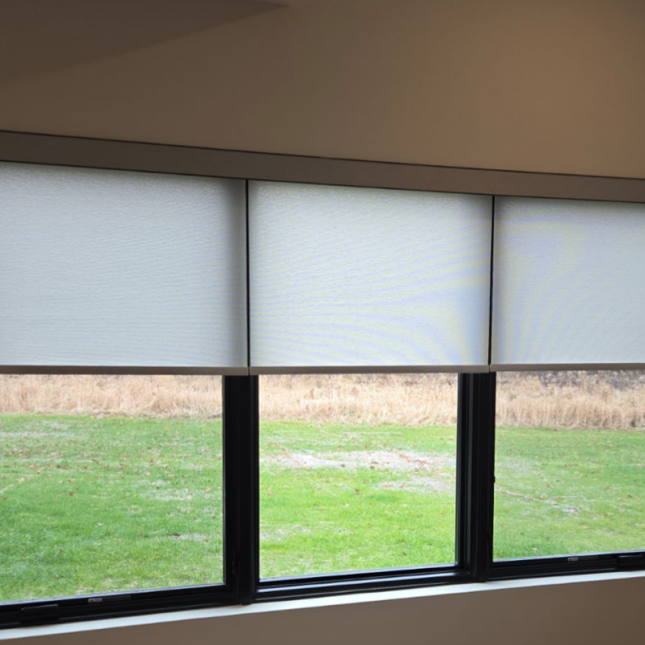 roller shades for windows
